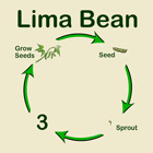 bean-lifecycle